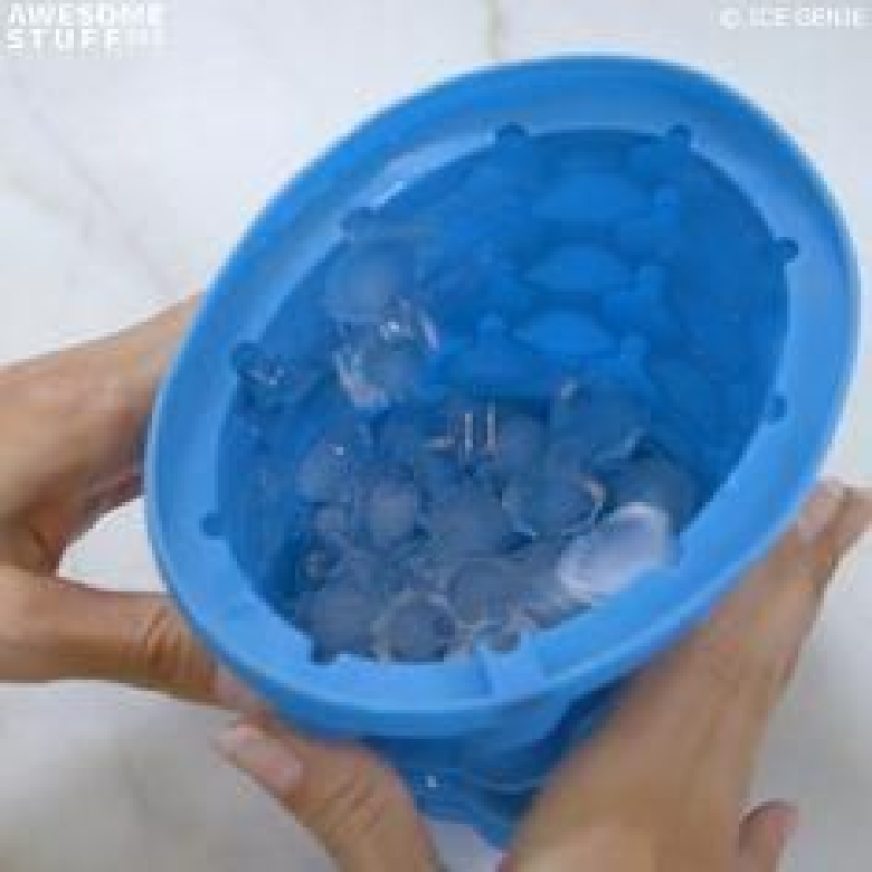Custom Hot Selling Ice Cube Tray Ice Genie