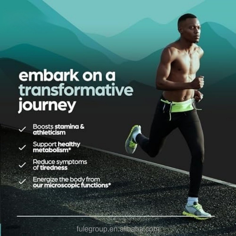 Hot Sale OEM Private Label Support Free Sample Herbal Supplement Custom Label Shilajit Capsules