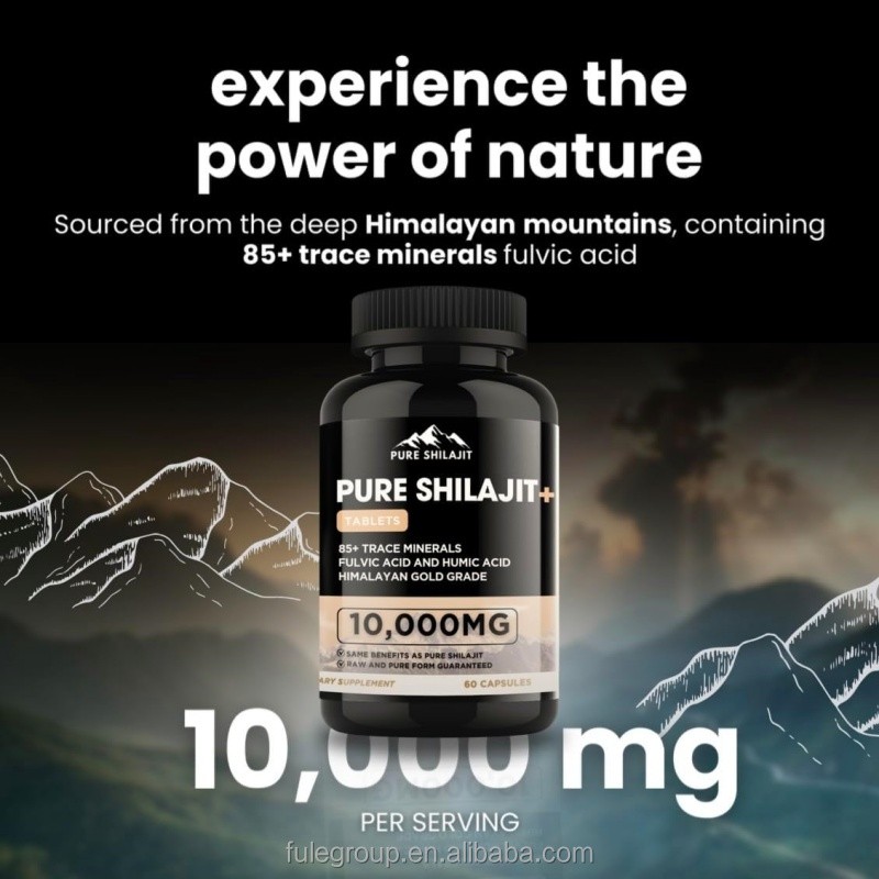 OEM Private Label Shilajit 100% Pure Natural Himalayan Organic Shilajit Capsules Resin Shilajit Resin