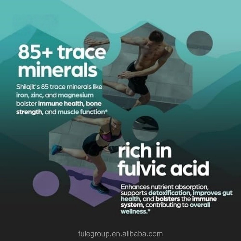 OEM Private Label Ashwagandha Shilajit Supplement Shilajit Pure Himalayan Ashwagandha Shilajit Capsules