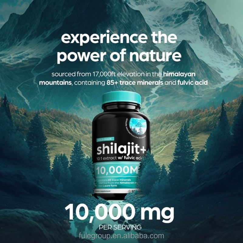 Hot Sale OEM Private Label Support Free Sample Herbal Supplement Custom Label Shilajit Capsules