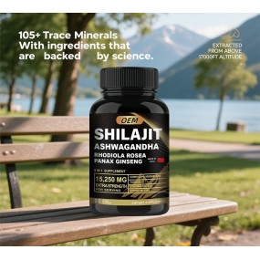 Wholesale Hot Sale OEM/ODM Free Sample Shilajit Pur Capsules Supplement Immune Shilajit Capsules for Men and Women