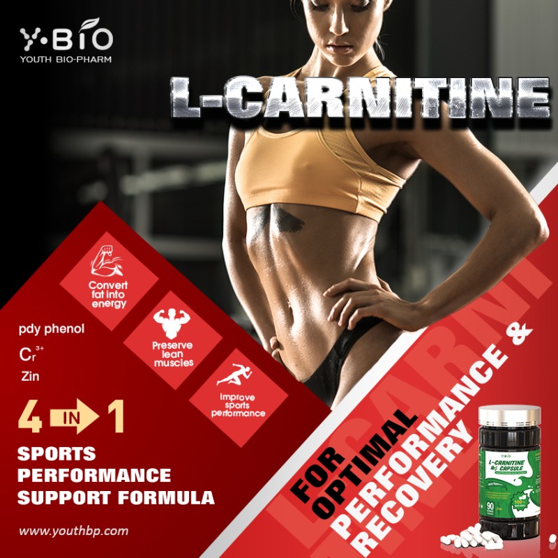 L-Carnitine Green Tea Capsules Advanced Weight Management Energy Supplement Zinc Chromium Nutritional Supplement Halal Vegan