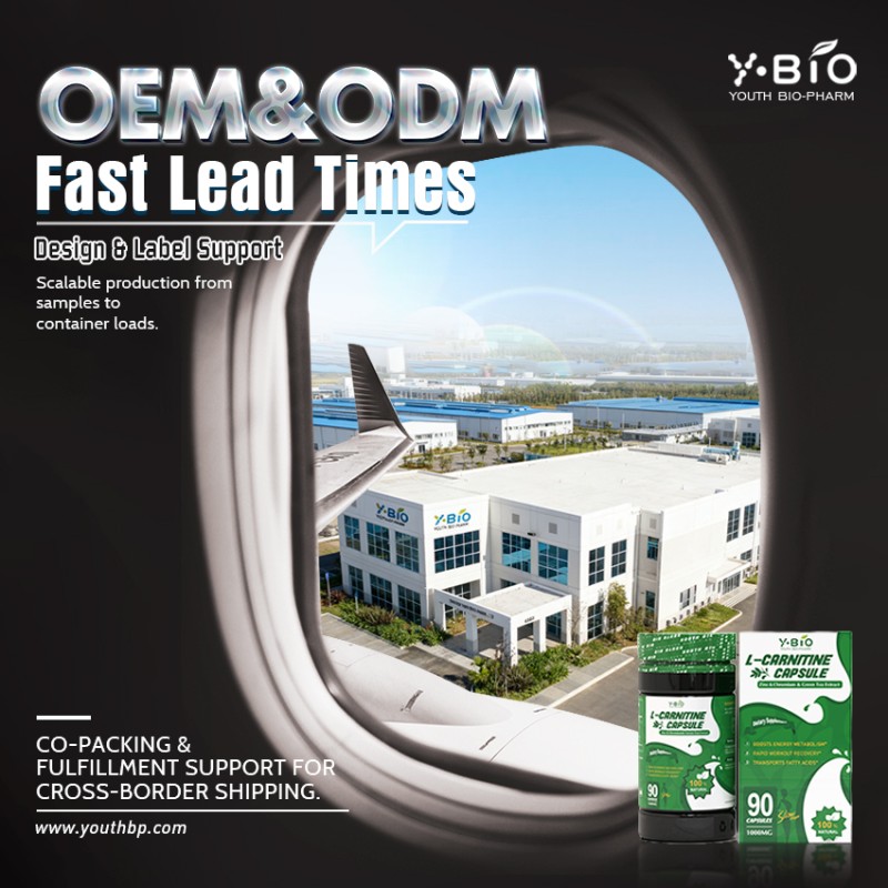 L-Carnitine Green Tea Capsules Advanced Weight Management Energy Supplement Zinc Chromium Nutritional Supplement Halal Vegan