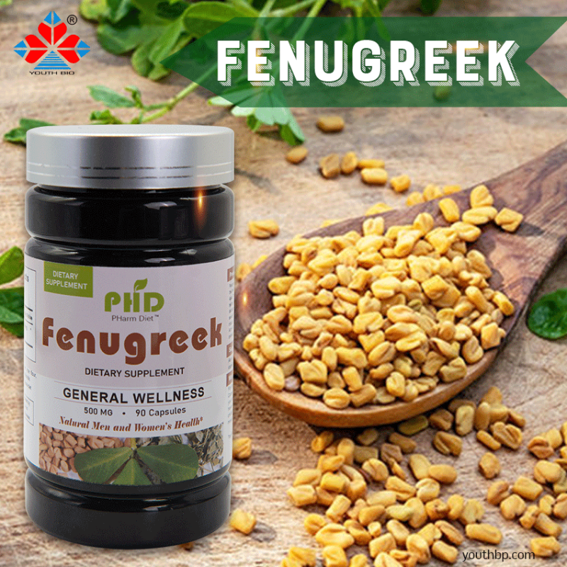 Adult Bulk Supply Fenugreek Extract Capsules 40% Saponins Powder Herbal Supplement Not Suitable for Teens or Pregnant Women