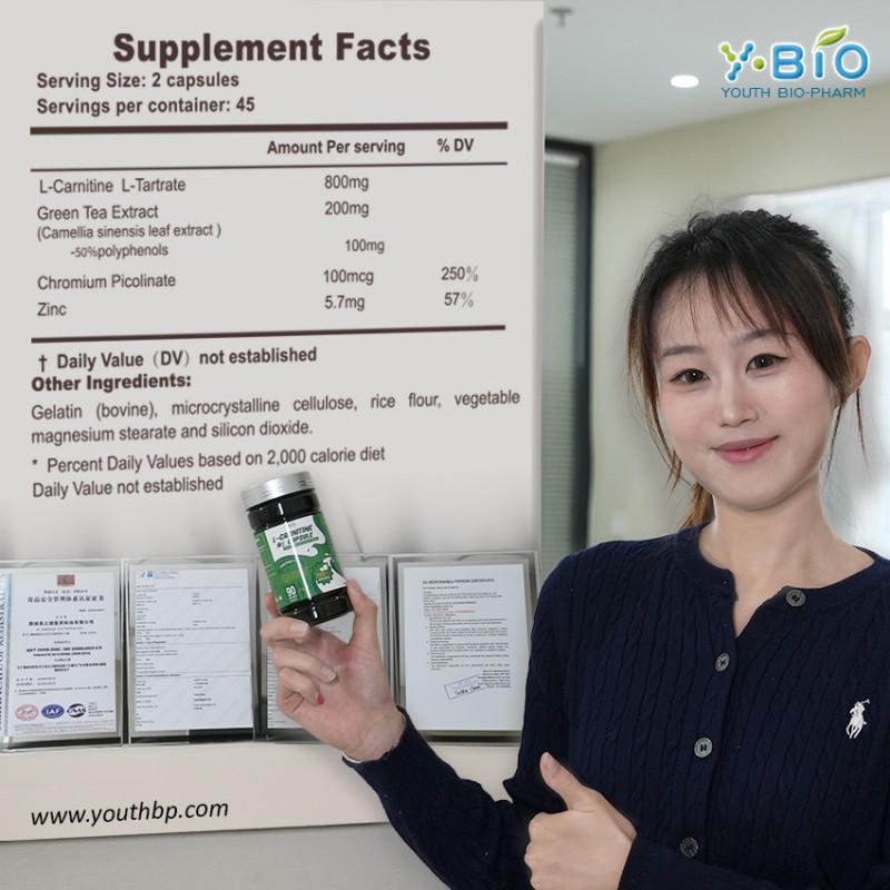 100% Natural Green Tea L-Carnitine Capsules Fat Transport Weight Control Energy Metabolism Support Vegan Halal