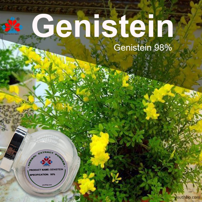 Food Grade Cytisine Herbal Extract 98% Purity Powder Fruit Multiple Packaging Options - Bottled