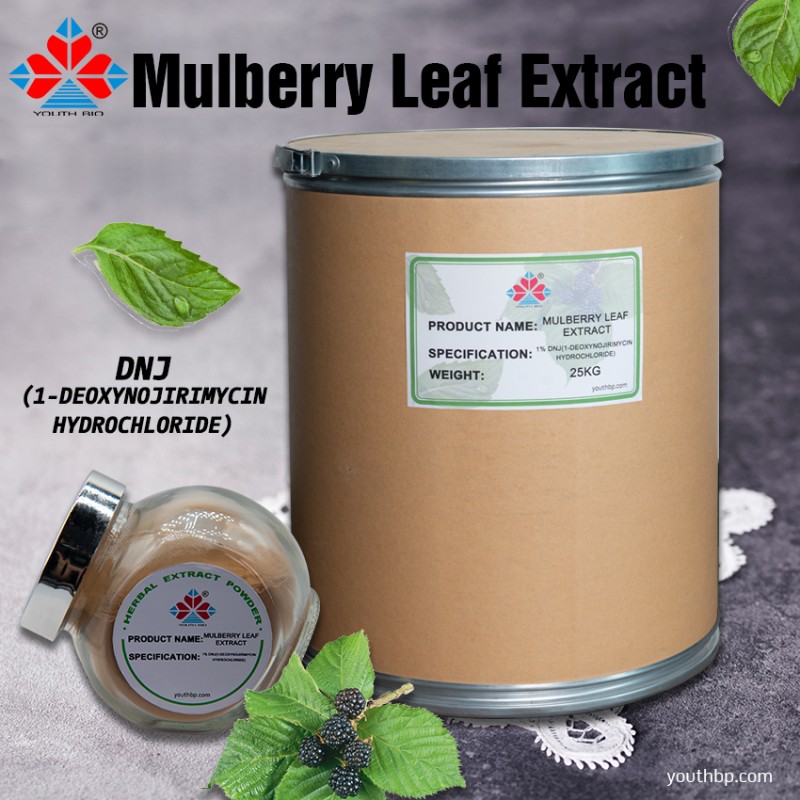 High Grade Food Grade Mulberry Leaf Extract Herbal Powder 1% DNJ Shandong Origin Vacuum Packed Health Hygiene 1kg MOQ