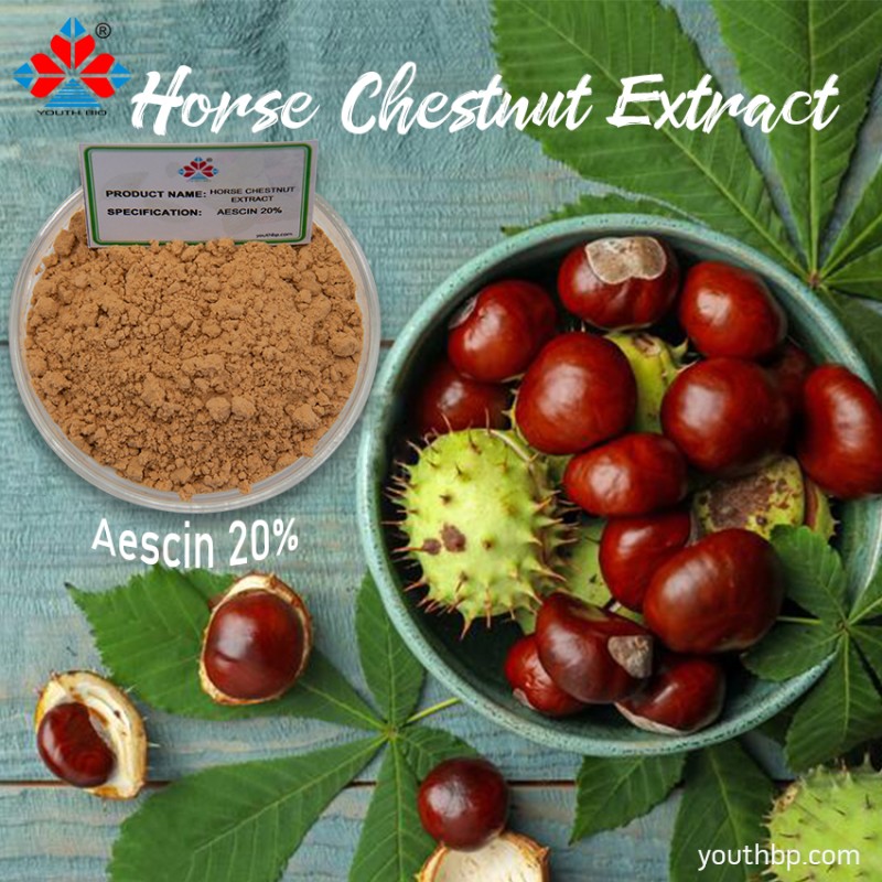 1kg Pure Horse Chestnut Extract Food Grade Powder UV Protection Plastic Jar Bottle Container Herbal Cosmetics Vacuum Drum Pack