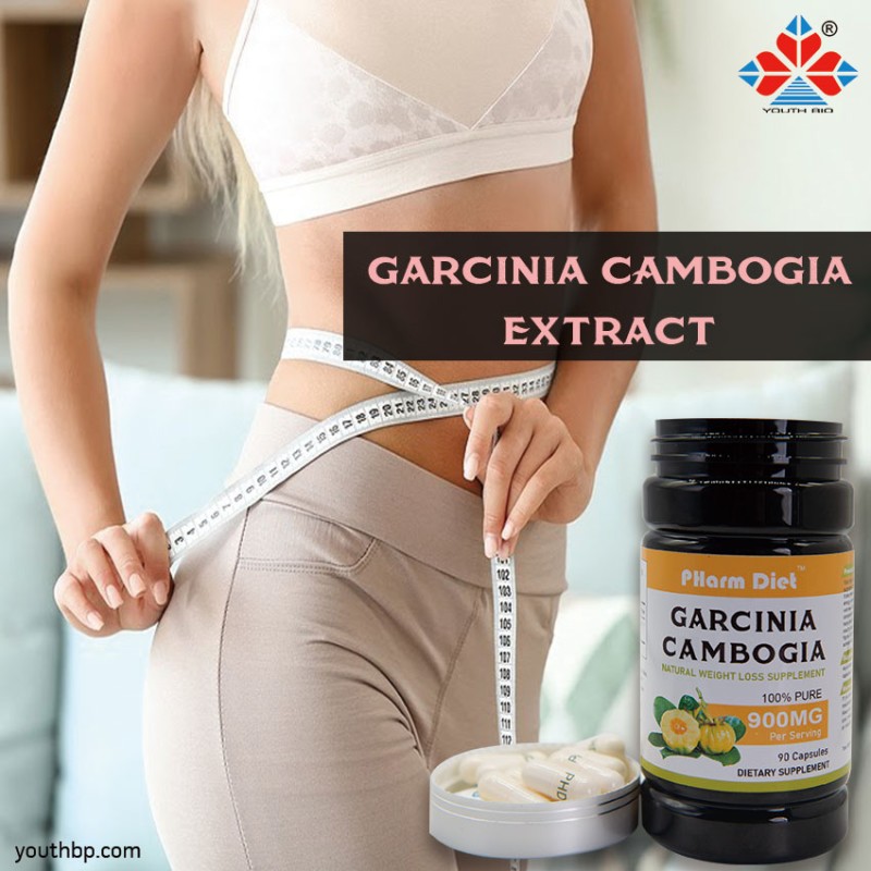 Adult Garcinia Cambogia Extract Capsules Effective Beauty Supplement Herbal Supplement Not for Pregnancy Not Suitable for Teen Children