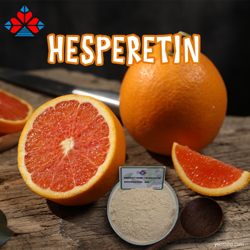 High Purity 1kg Barrel Packed Food Grade Hesperidin Powder Custom Manufacture Fruit Extract Herbal Plant Extract Wholesale