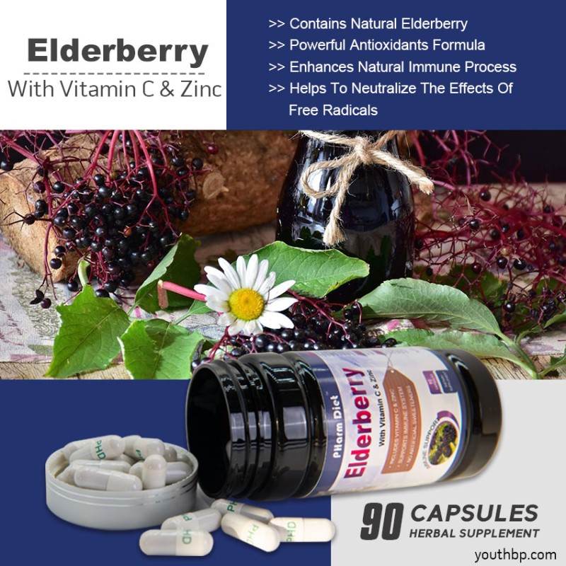 Youth Adult Vegan Elderberry Vitamin C Zinc Echinacea Herbal Supplement Capsules - Immune Support Antioxidant Properties 90 Capsules