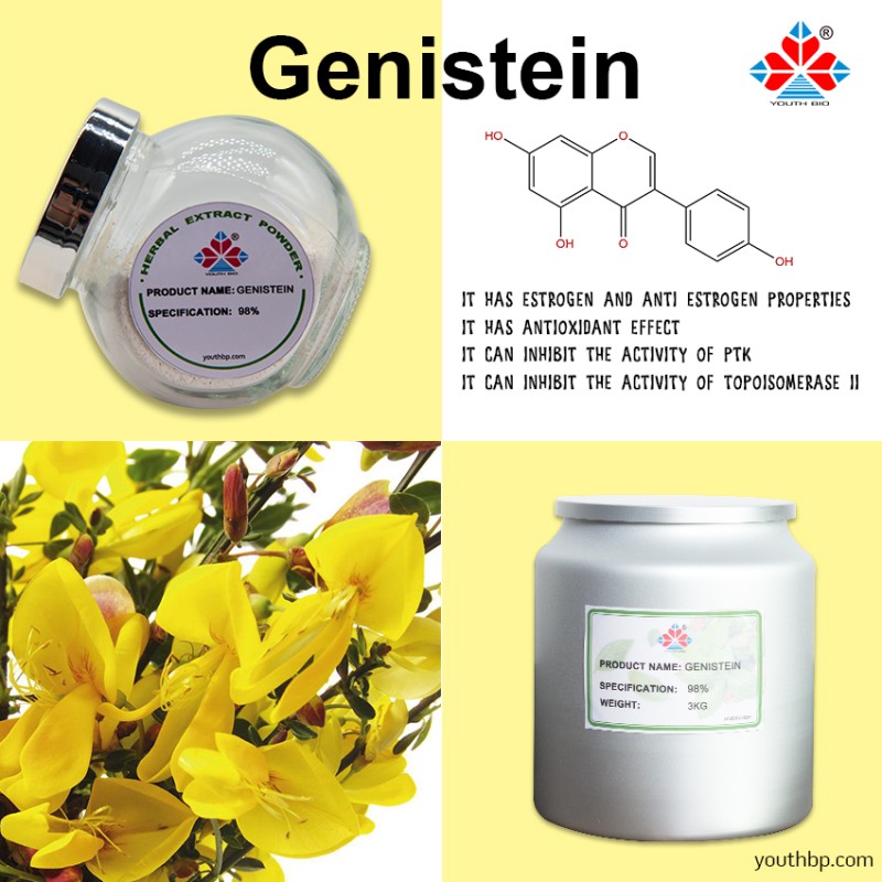 Food Grade Cytisine Herbal Extract 98% Purity Powder Fruit Multiple Packaging Options - Bottled