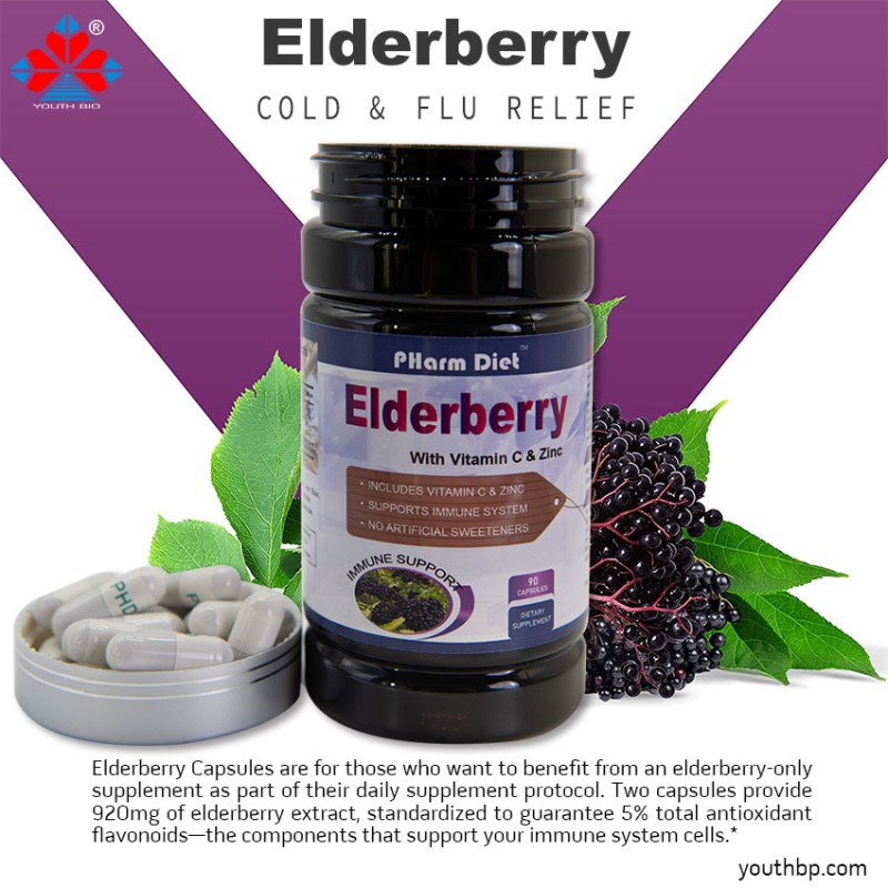 Youth Adult Vegan Elderberry Vitamin C Zinc Echinacea Herbal Supplement Capsules - Immune Support Antioxidant Properties 90 Capsules