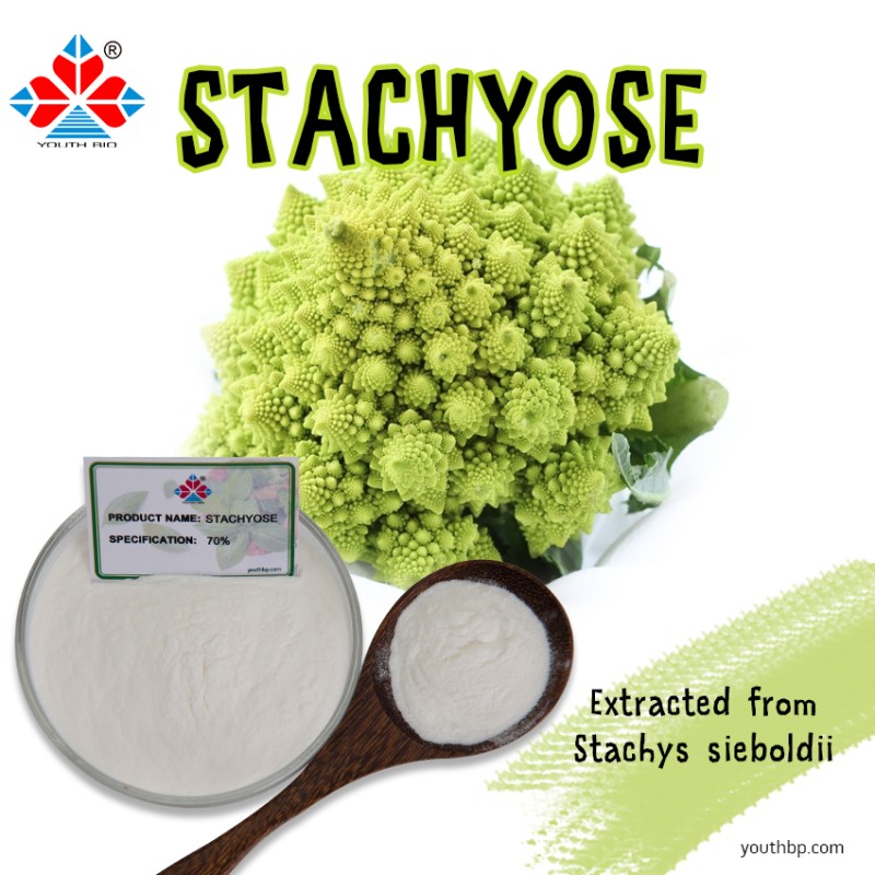HPLC Tested Food Grade Natural Polydextrose Powder Prebiotic Fiber Supplement Gut Health Green Tea Extract Rice Grain Jar 1kg