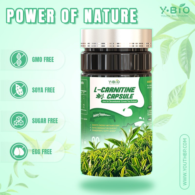 Green Tea L-Carnitine Capsules Zinc Chromium Natural Advanced Fat Metabolism Support Energy Dietary Supplement 90 Capsules 1000mg