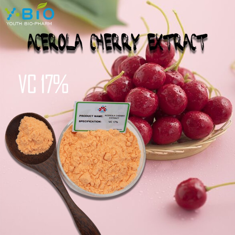 HPLC Verified Food Grade Acerola Cherry Extract Powder 17% Vitamin C Natural Antioxidant Solvent Extract Dietary Supplement