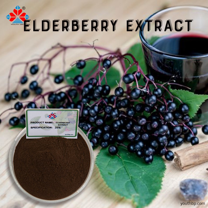 25% Pure Food Grade Elderberry Peel Extract Powder HPLC Rich in Anthocyanins Herbal Supplement Vacuum Packed Drum Container