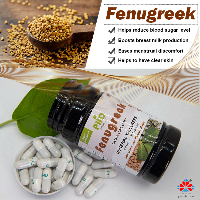 Adult Bulk Supply Fenugreek Extract Capsules 40% Saponins Powder Herbal Supplement Not Suitable for Teens or Pregnant Women