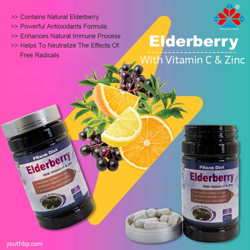 Youth Adult Vegan Elderberry Vitamin C Zinc Echinacea Herbal Supplement Capsules - Immune Support Antioxidant Properties 90 Capsules