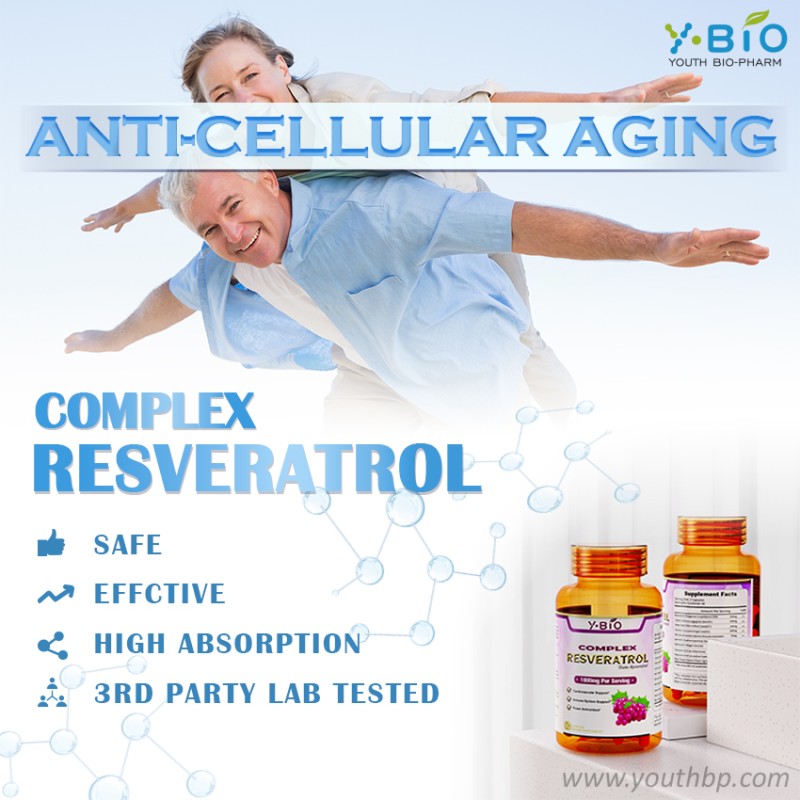 Original Manufacturer Supply Resveratrol Quercetin Black Pepper Extract Adult Antioxidant Capsules 60 Capsules/Bottle