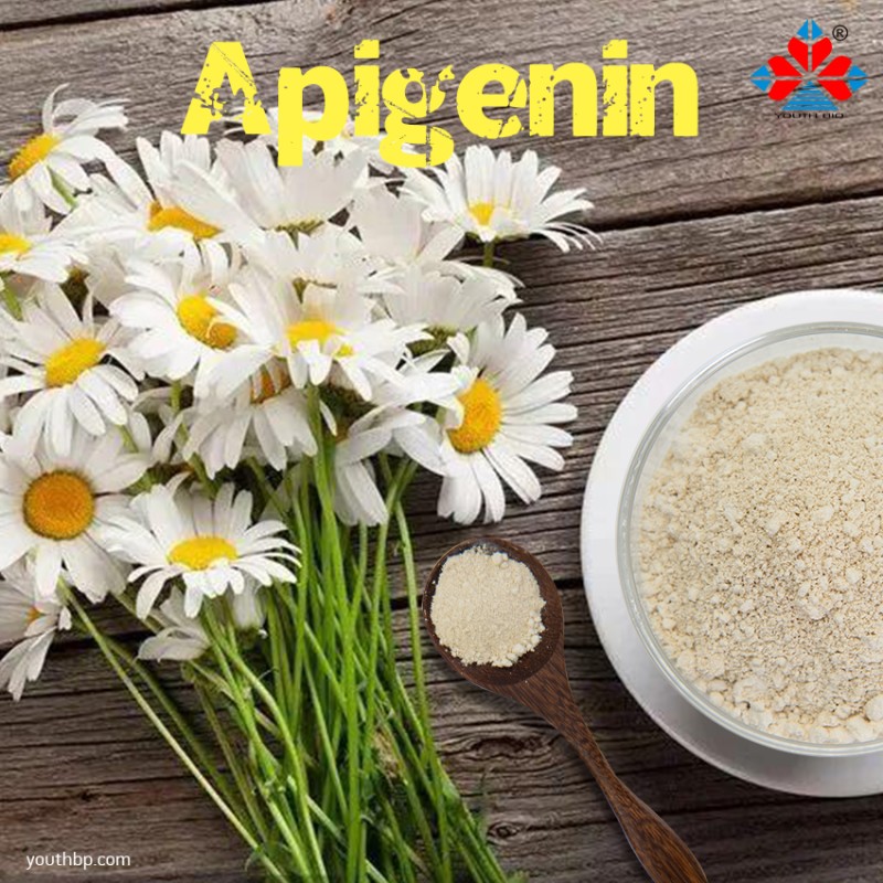 98% Purity Food Grade Isoquercetin Powder HPLC Test Method Plastic Container Barrel Storage Herbal Fruit Supplement Celery Seed Extract