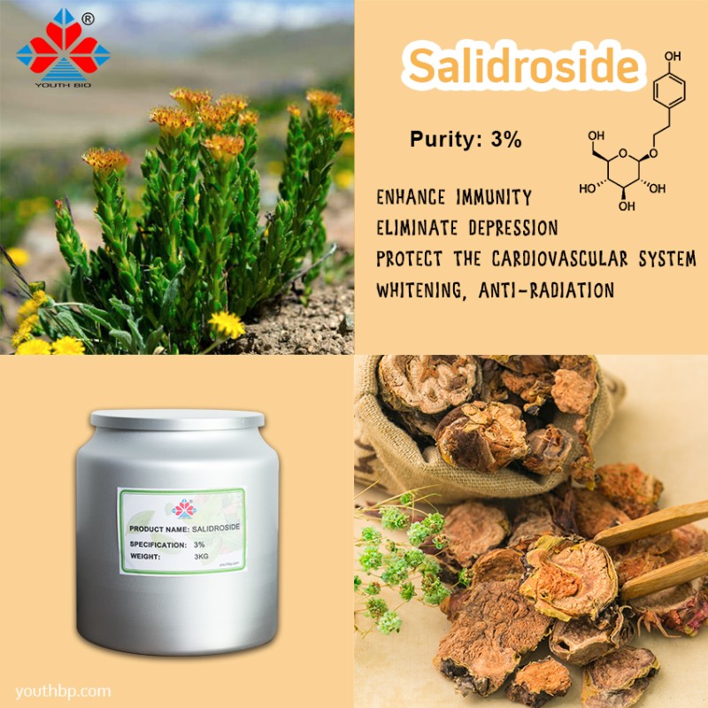 Food Grade 3% Salidroside Rhodiola Rosea Extract Herbal Powder Cosmetics Dietary Supplement Vacuum Packed Barrel Jar 1kg