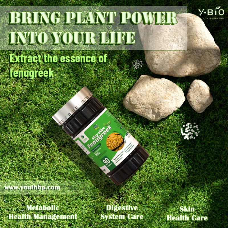Fenugreek Seed Extract Capsules 50% Sulfate Saponins 90 Capsules Vegan Capsules GMP Manufacturing Traceable Ingredients YOUTH Brand Antioxidant