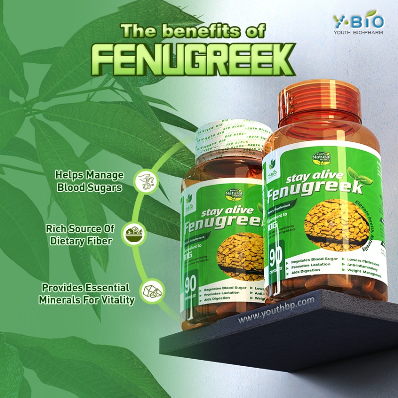 Youth Bulk Supply Fenugreek (Trigonella Foenum-Graecum) Extract 20:1 1000mg Capsules for Adult Use - Metabolism Support Antioxidant