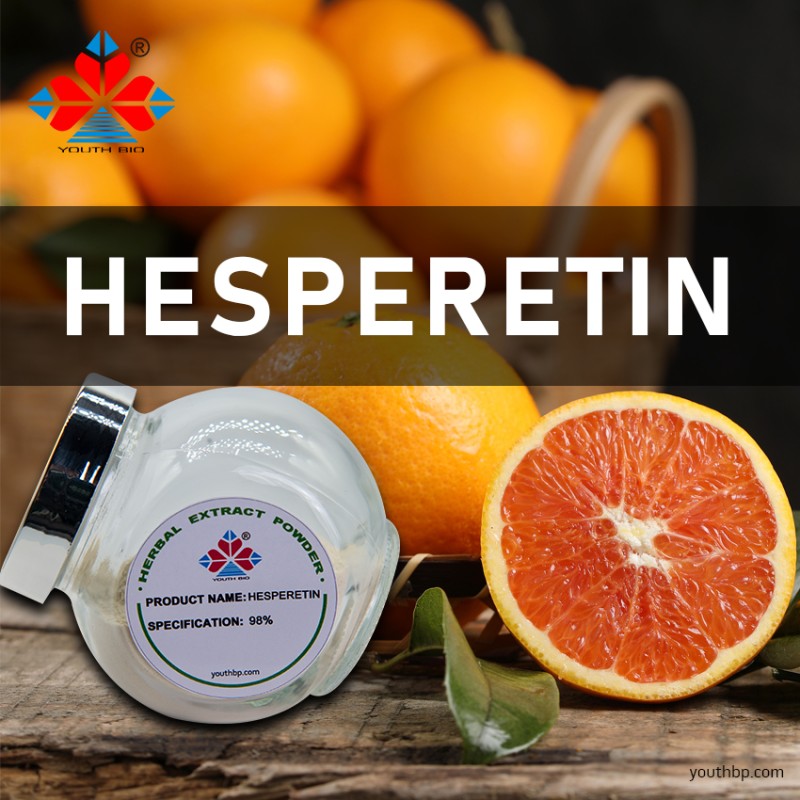 High Purity 1kg Barrel Packed Food Grade Hesperidin Powder Custom Manufacture Fruit Extract Herbal Plant Extract Wholesale