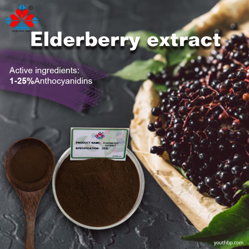 25% Pure Food Grade Elderberry Peel Extract Powder HPLC Rich in Anthocyanins Herbal Supplement Vacuum Packed Drum Container