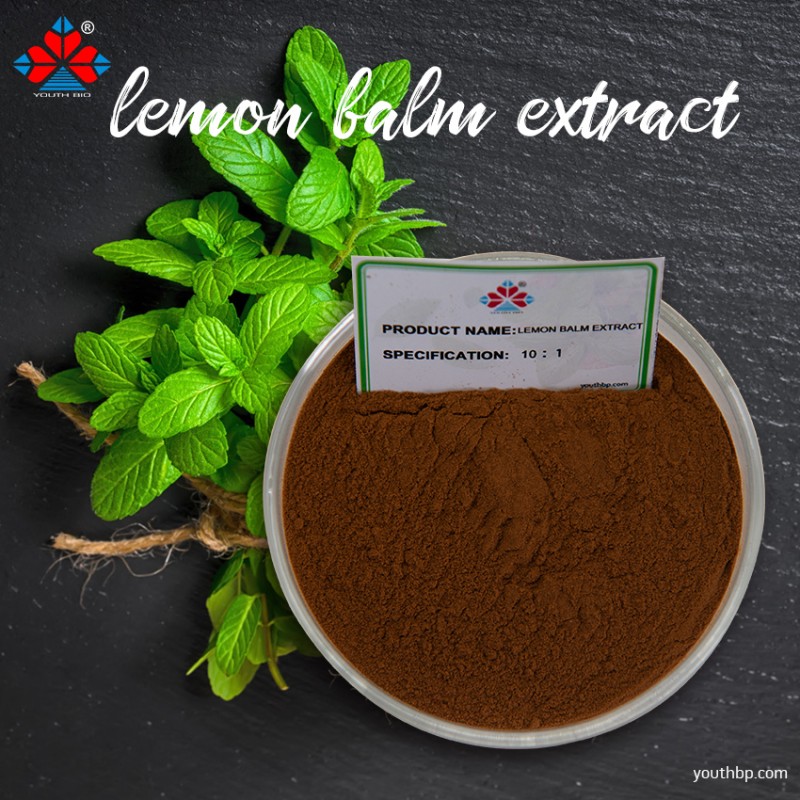 Organic 10:1 Lemon Balm Extract Powder Food Grade Herbal Supplement Vegan Functional Food Beverage Bottle Youth Brand 1kg MOQ