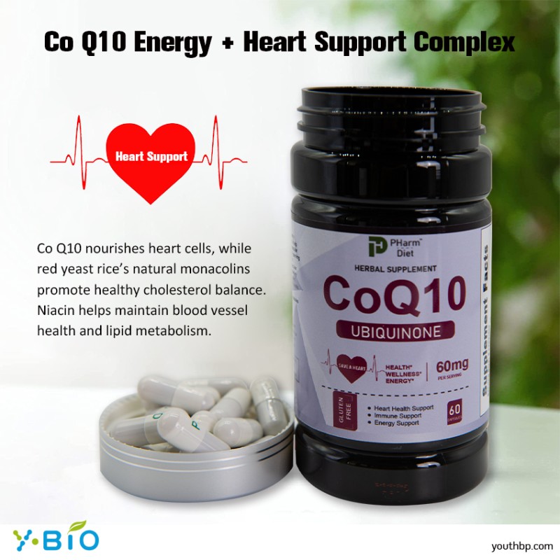 99% High Purity Coenzyme Q10 Ubiquinone Granules Supplement Antioxidant 60mg Cellular Energy Support Anti-aging GMP Certified