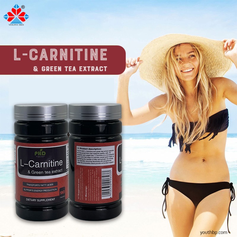 Youth L-Carnitine Green Tea Extract Zinc Chromium Picolinate Capsules for Weight Loss