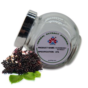 25% Pure Food Grade Elderberry Peel Extract Powder HPLC Rich in Anthocyanins Herbal Supplement Vacuum Packed Drum Container