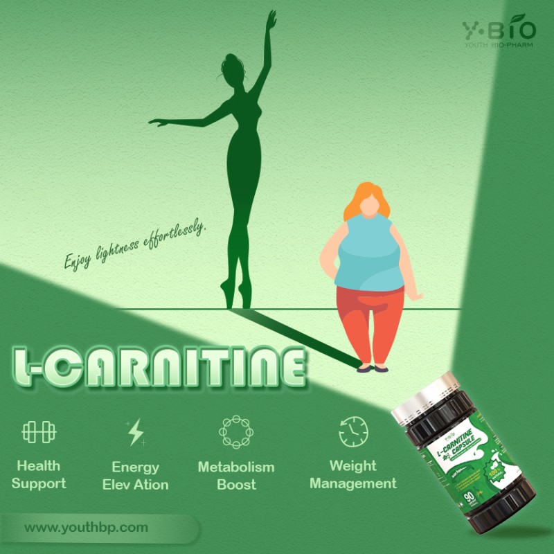 100% Natural Green Tea L-Carnitine Capsules Fat Transport Weight Control Energy Metabolism Support Vegan Halal