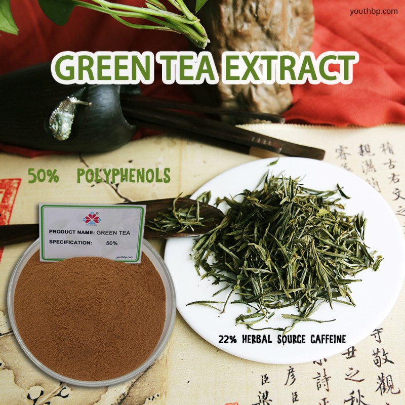 Premium Polyphenol Rich Green Tea Extract Herbal Leaf Powder HPLC Tested Food Grade Bottled Jarred 1kg MOQ Dietary Supplement YOUTH