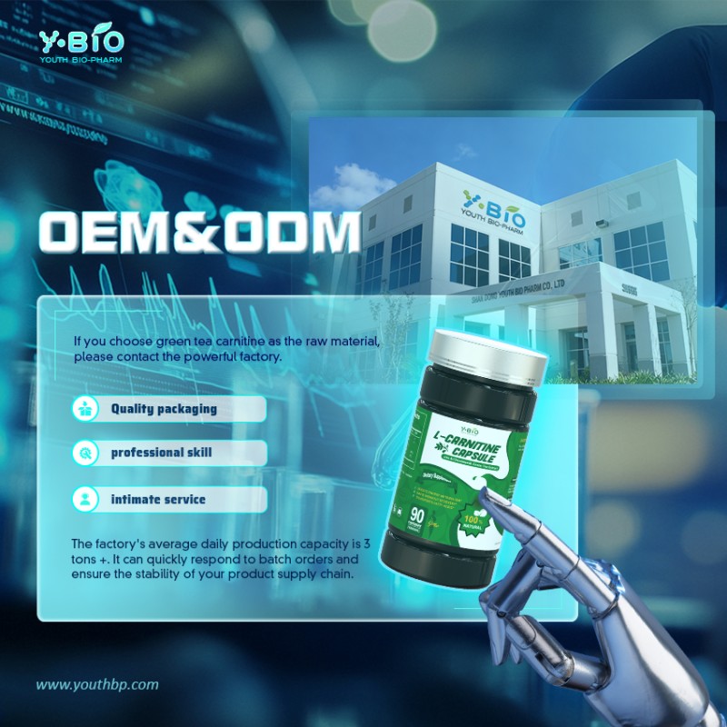 Zinc Chromium Halal L-Carnitine Capsules Advanced Energy Fat Metabolism Workout Support Supplement 90 Capsules 1000mg