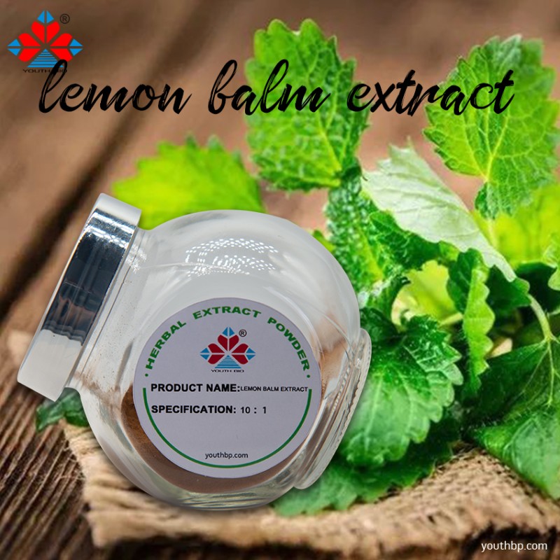 Organic 10:1 Lemon Balm Extract Powder Food Grade Herbal Supplement Vegan Functional Food Beverage Bottle Youth Brand 1kg MOQ