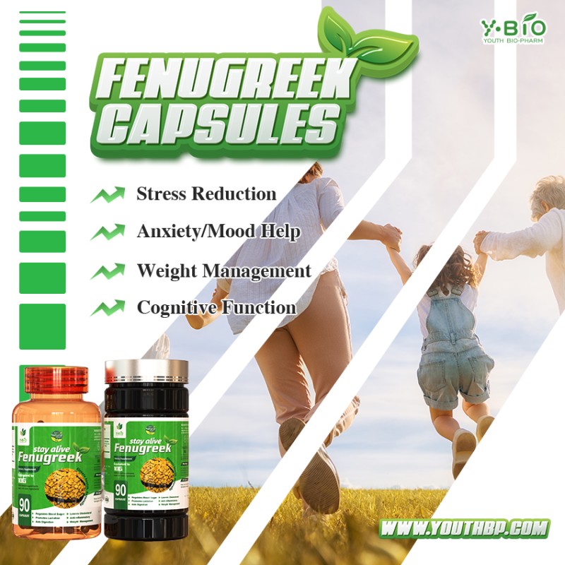 Fenugreek Extract Dietary Supplement Capsules OEM/ODM Service - GMP Certified Adult Health Factory 90 Capsules/Bottle