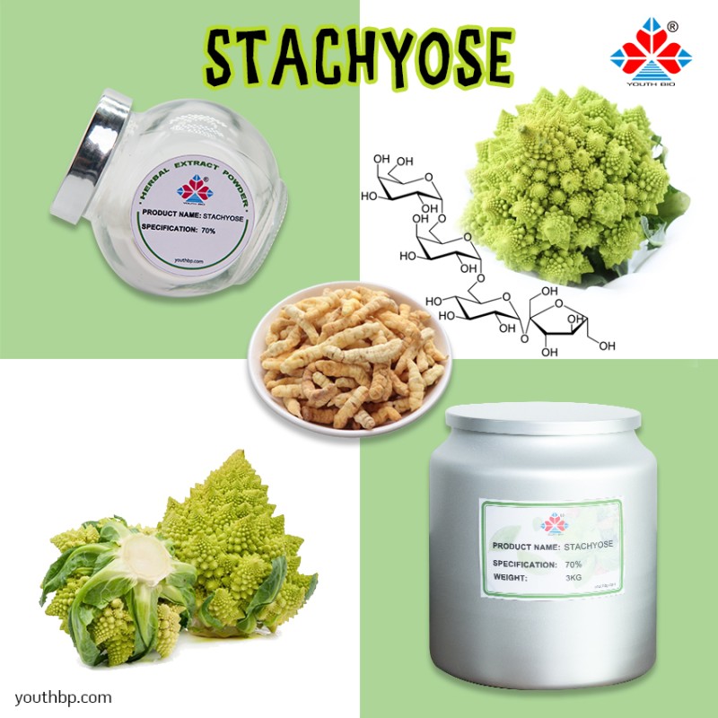 HPLC Tested Food Grade Natural Polydextrose Powder Prebiotic Fiber Supplement Gut Health Green Tea Extract Rice Grain Jar 1kg