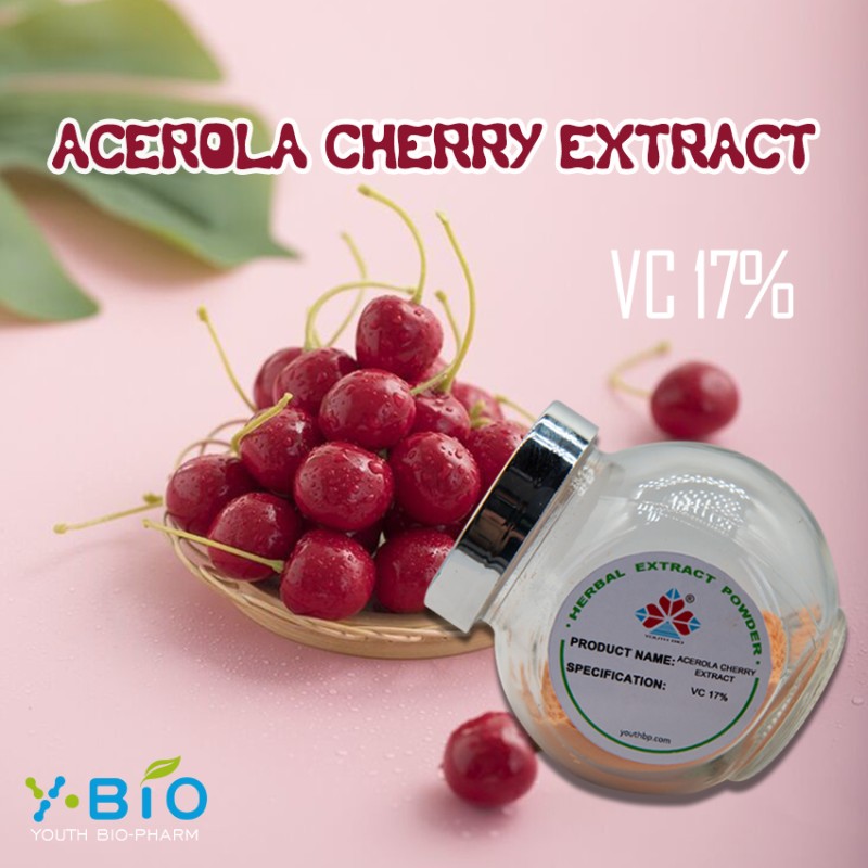 HPLC Verified Food Grade Acerola Cherry Extract Powder 17% Vitamin C Natural Antioxidant Solvent Extract Dietary Supplement