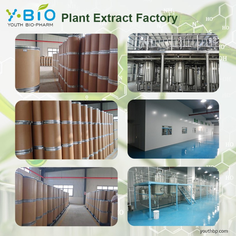 HPLC Verified Food Grade Acerola Cherry Extract Powder 17% Vitamin C Natural Antioxidant Solvent Extract Dietary Supplement