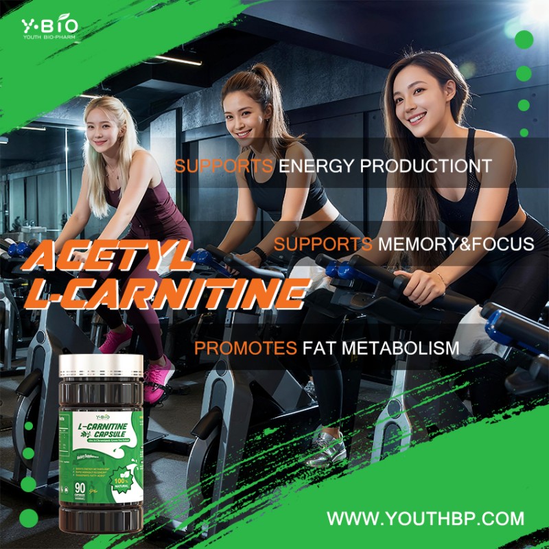 Zinc Chromium Halal L-Carnitine Capsules Advanced Energy Fat Metabolism Workout Support Supplement 90 Capsules 1000mg