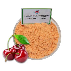 HPLC Verified Food Grade Acerola Cherry Extract Powder 17% Vitamin C Natural Antioxidant Solvent Extract Dietary Supplement