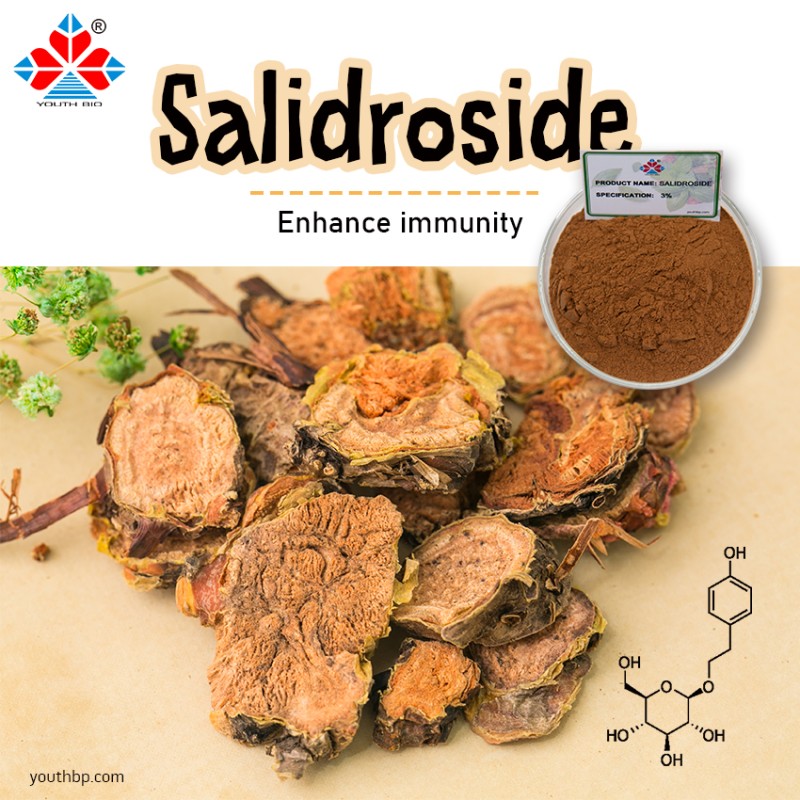 Food Grade 3% Salidroside Rhodiola Rosea Extract Herbal Powder Cosmetics Dietary Supplement Vacuum Packed Barrel Jar 1kg