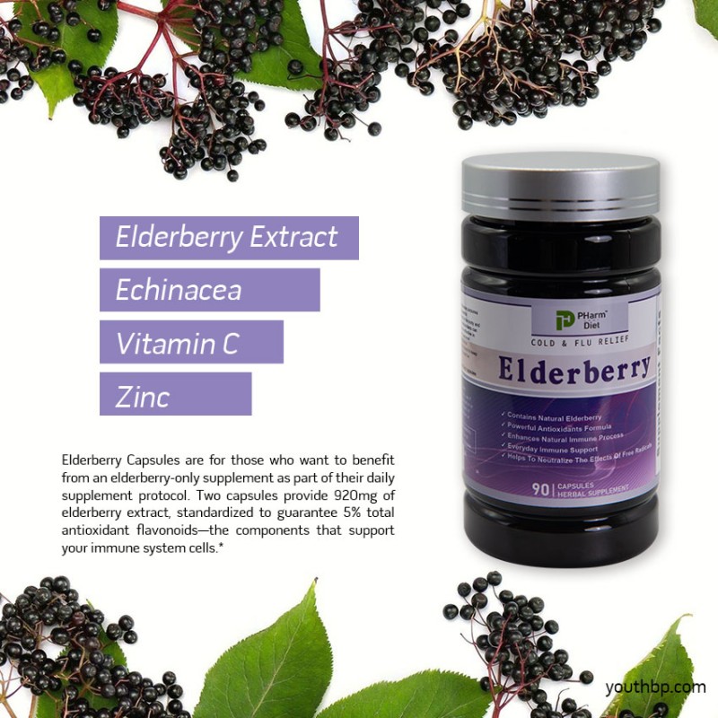 Vegan 500mg Elderberry Extract Capsules with Vitamin C and Zinc for Immune Support