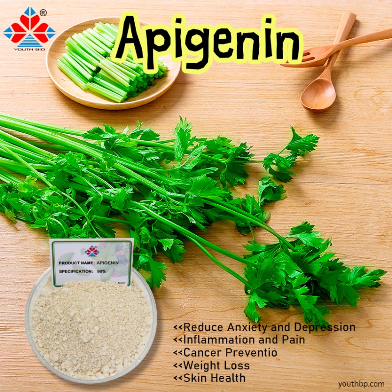 98% Purity Food Grade Isoquercetin Powder HPLC Test Method Plastic Container Barrel Storage Herbal Fruit Supplement Celery Seed Extract