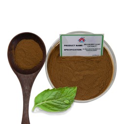 High Grade Food Grade Mulberry Leaf Extract Herbal Powder 1% DNJ Shandong Origin Vacuum Packed Health Hygiene 1kg MOQ