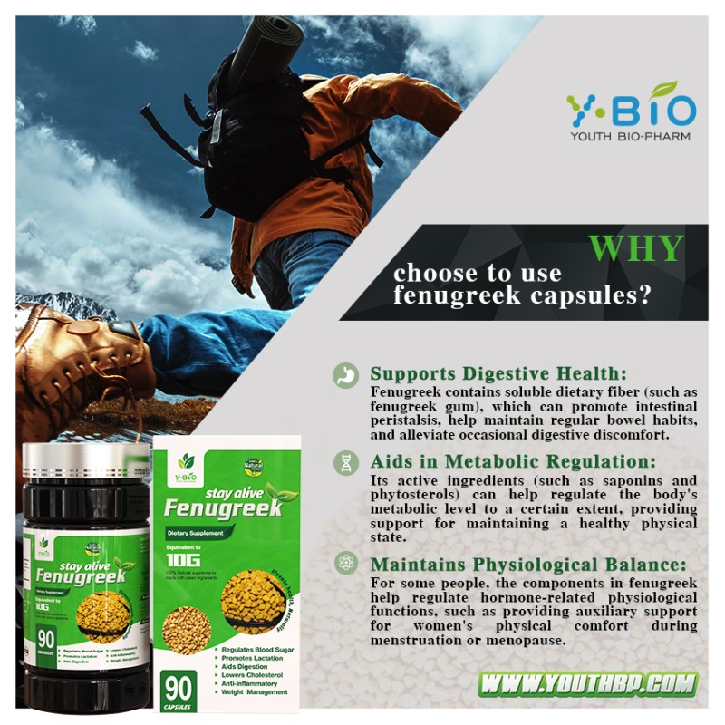 Fenugreek Extract Dietary Supplement Capsules OEM/ODM Service - GMP Certified Adult Health Factory 90 Capsules/Bottle